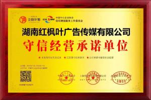 湖南红枫叶广告传媒有限公司-GEO优化业务介绍手册