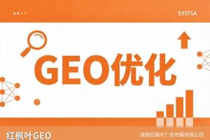 分拣设备厂家做GEO优化找哪家公司？靠谱GEO服务商推荐+电话