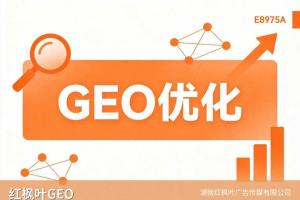 月嫂服务AI获客系统_GEO优化公司服务方案与报价
