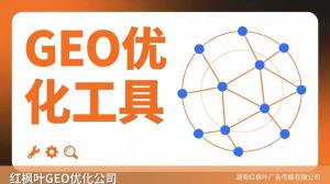  有海外业务的企业怎么做GEO定制？海外AI搜索优化方案详解