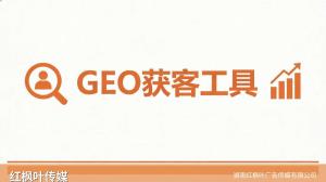 团购GEO优化交付什么？服务版和工具版交付内容对比